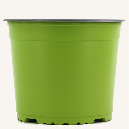 Groene kweekpot