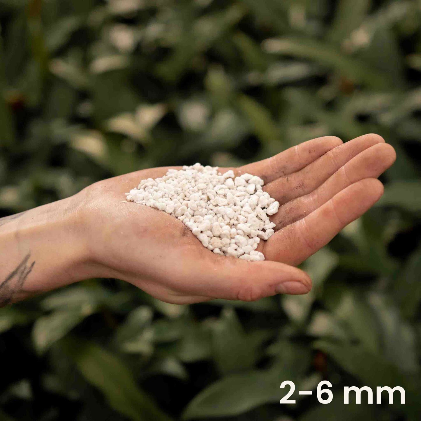 Perlite